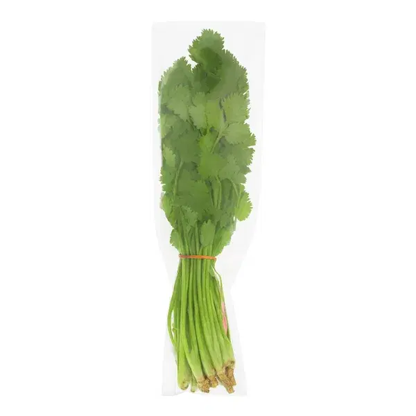 Coriander