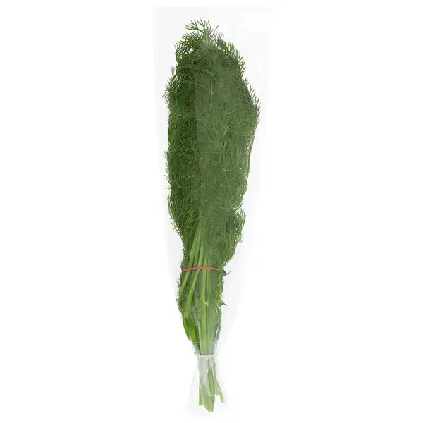 Dill