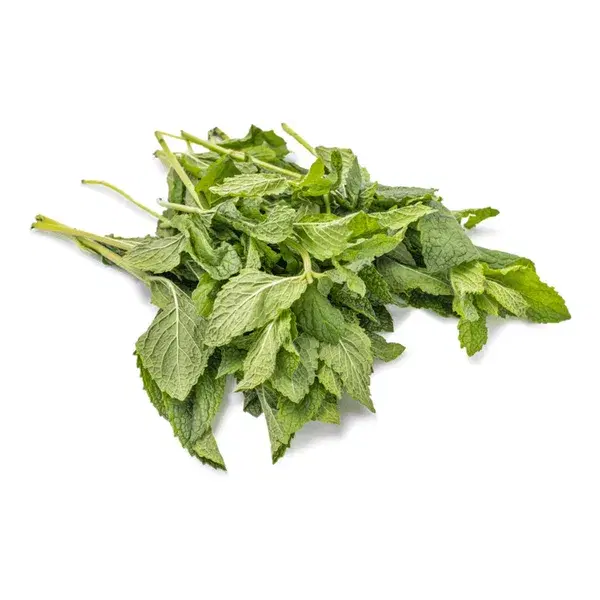 Mint