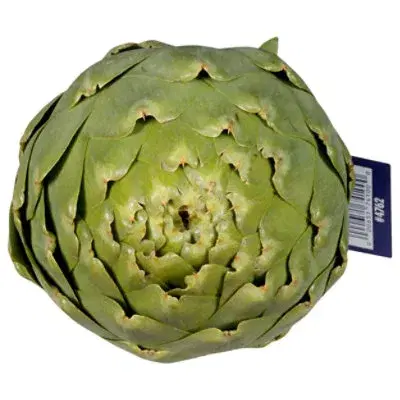 Artichoke Globe