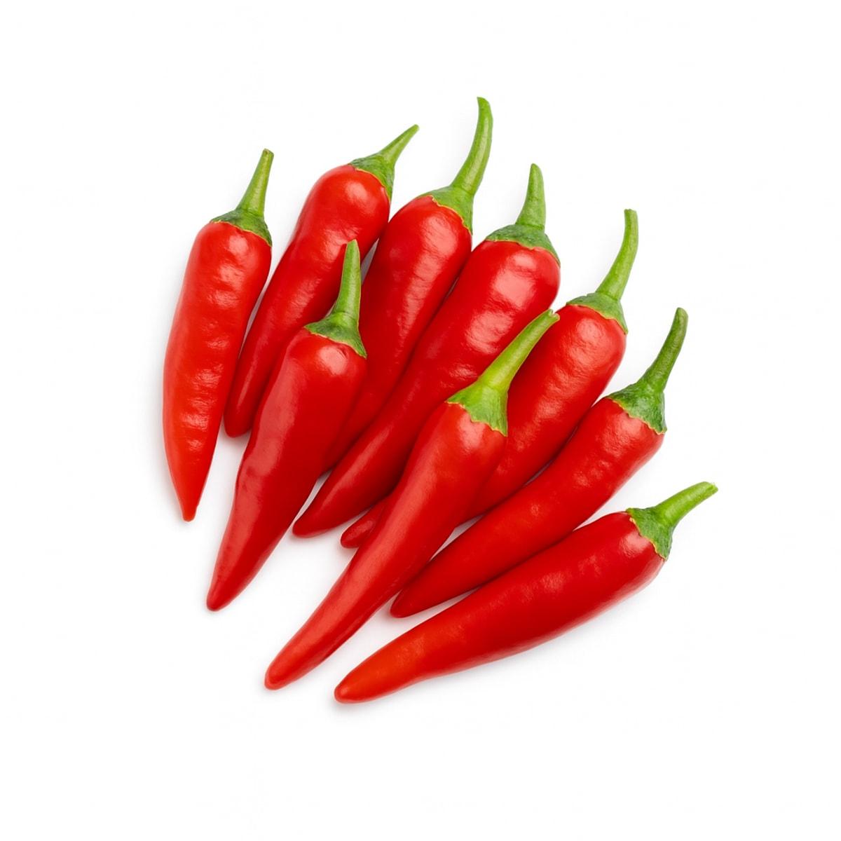 CHILLI BULLET