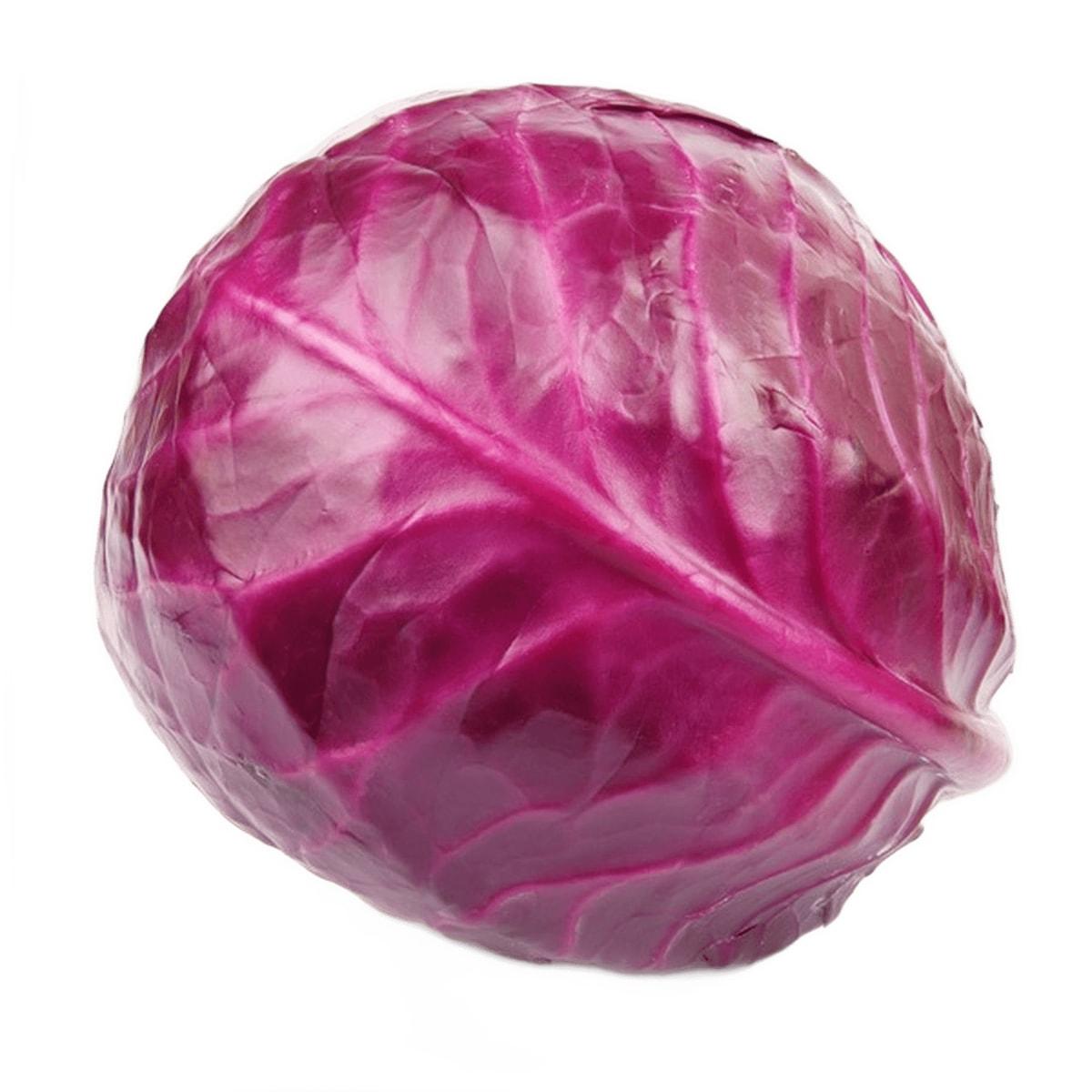 Cabbage Red